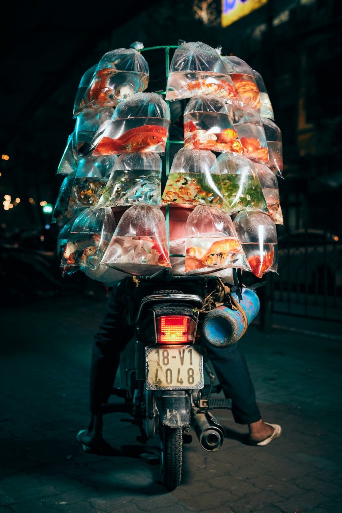 smithsonian-magazine-photo-contest-winners-4